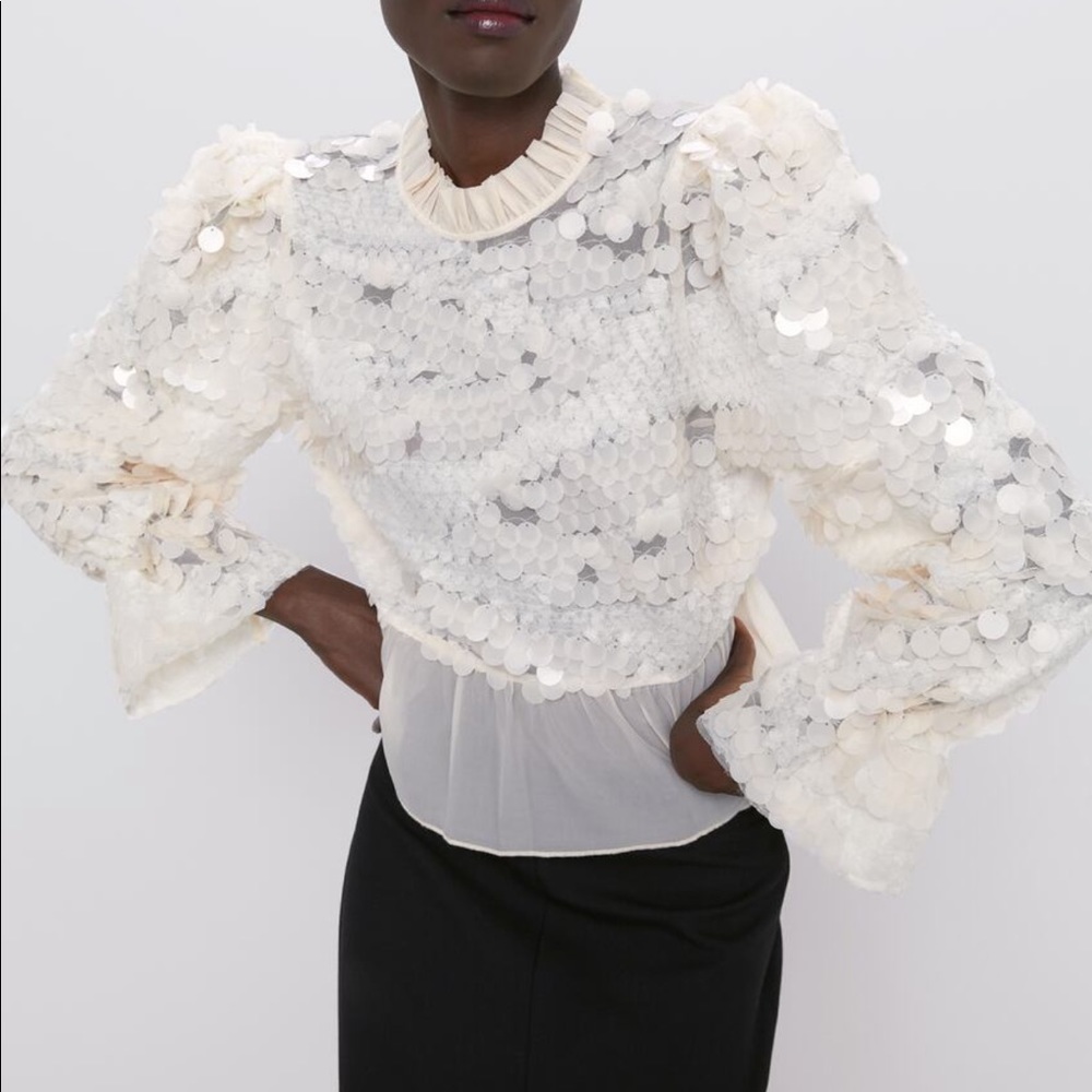 Zara Ruffled Sequin Top